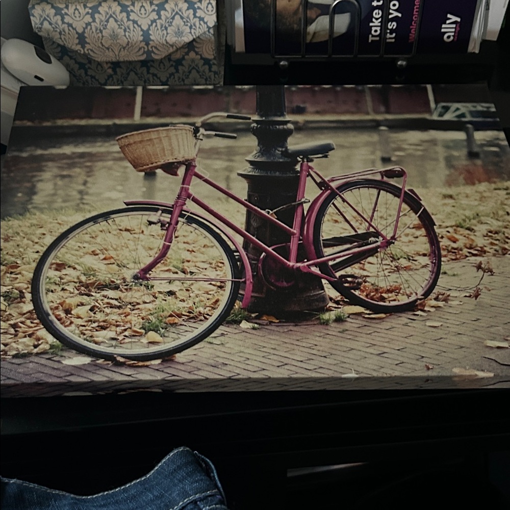 Whimsical Pink Bicycle Canvas Art